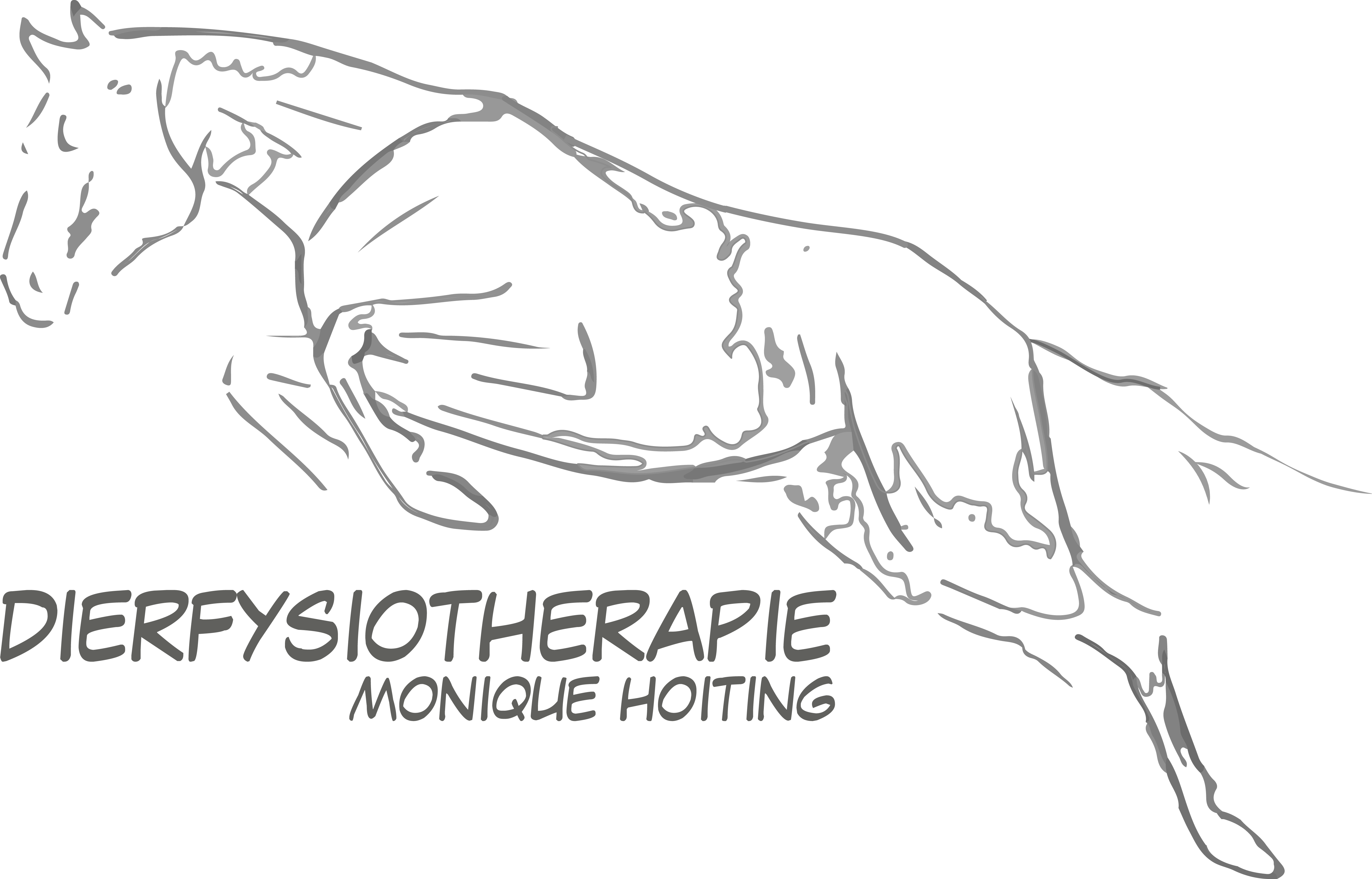 Dierfysiotherapie Monique Hoiting
